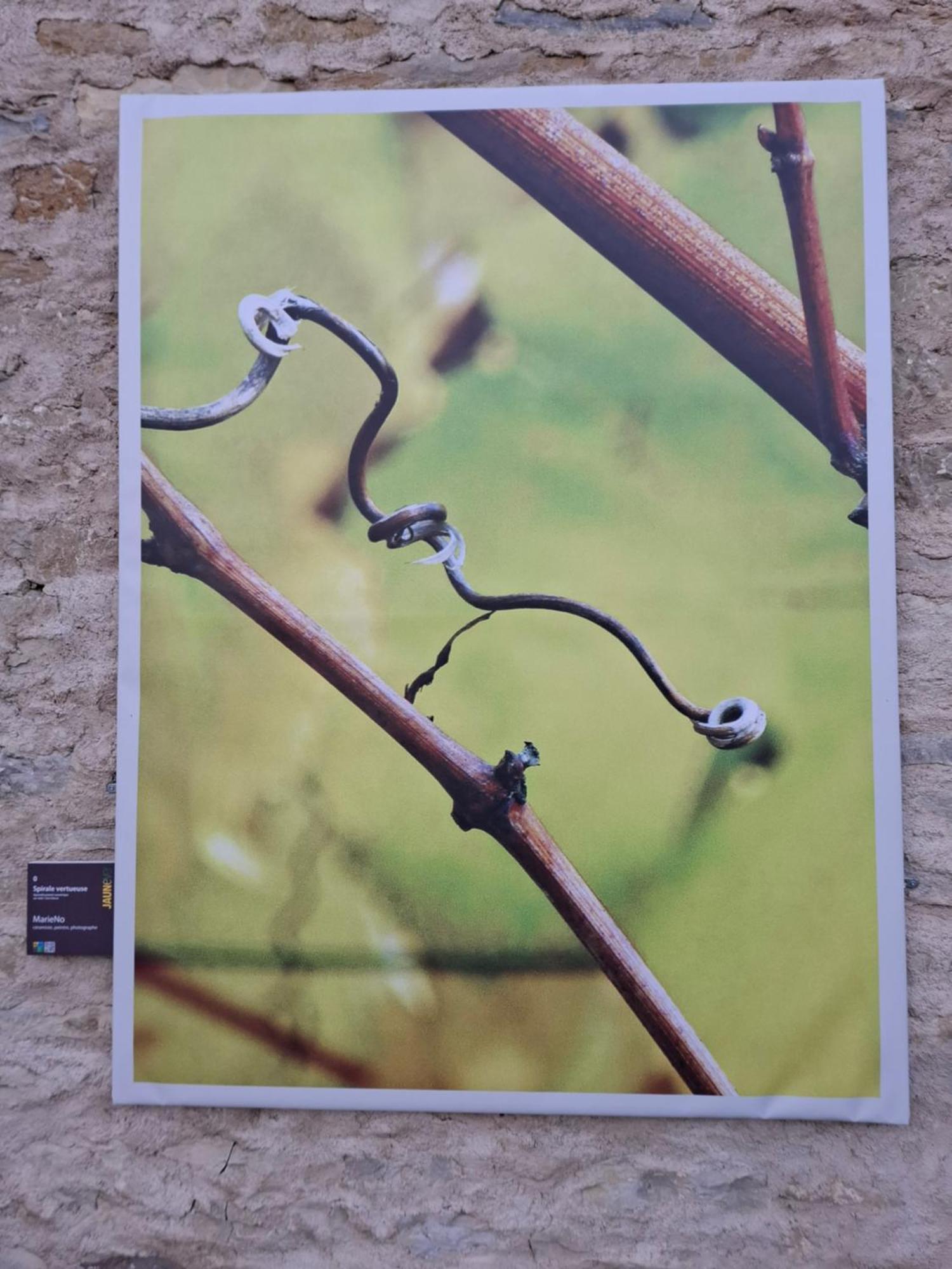 Maison D'Eusebia Château-Chalon Eksteriør billede